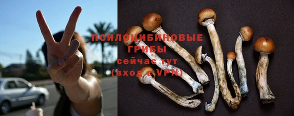 мескалин Абаза