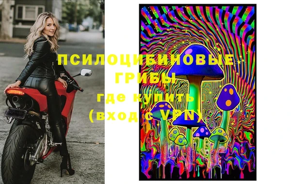 бошки Алзамай