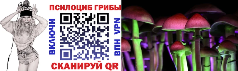 Псилоцибиновые грибы Psilocybine cubensis Симферополь